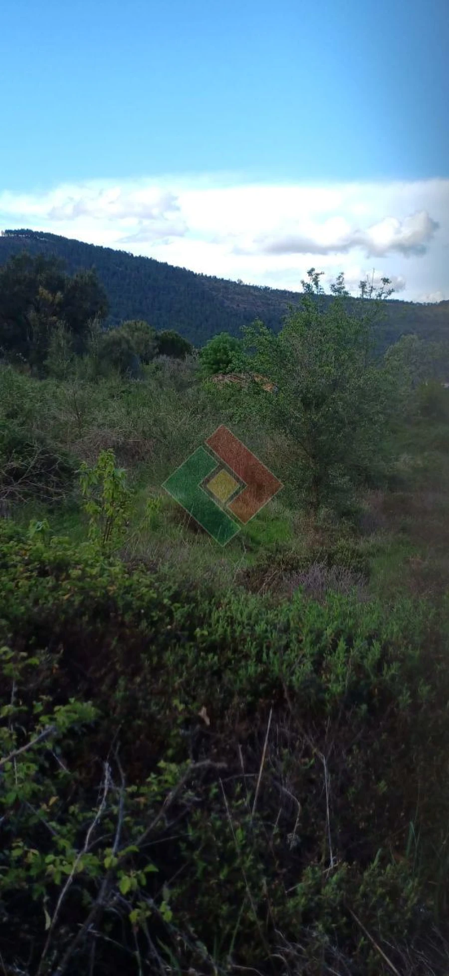 Quinta para Venda em São Salvador da Aramenha Foto 10