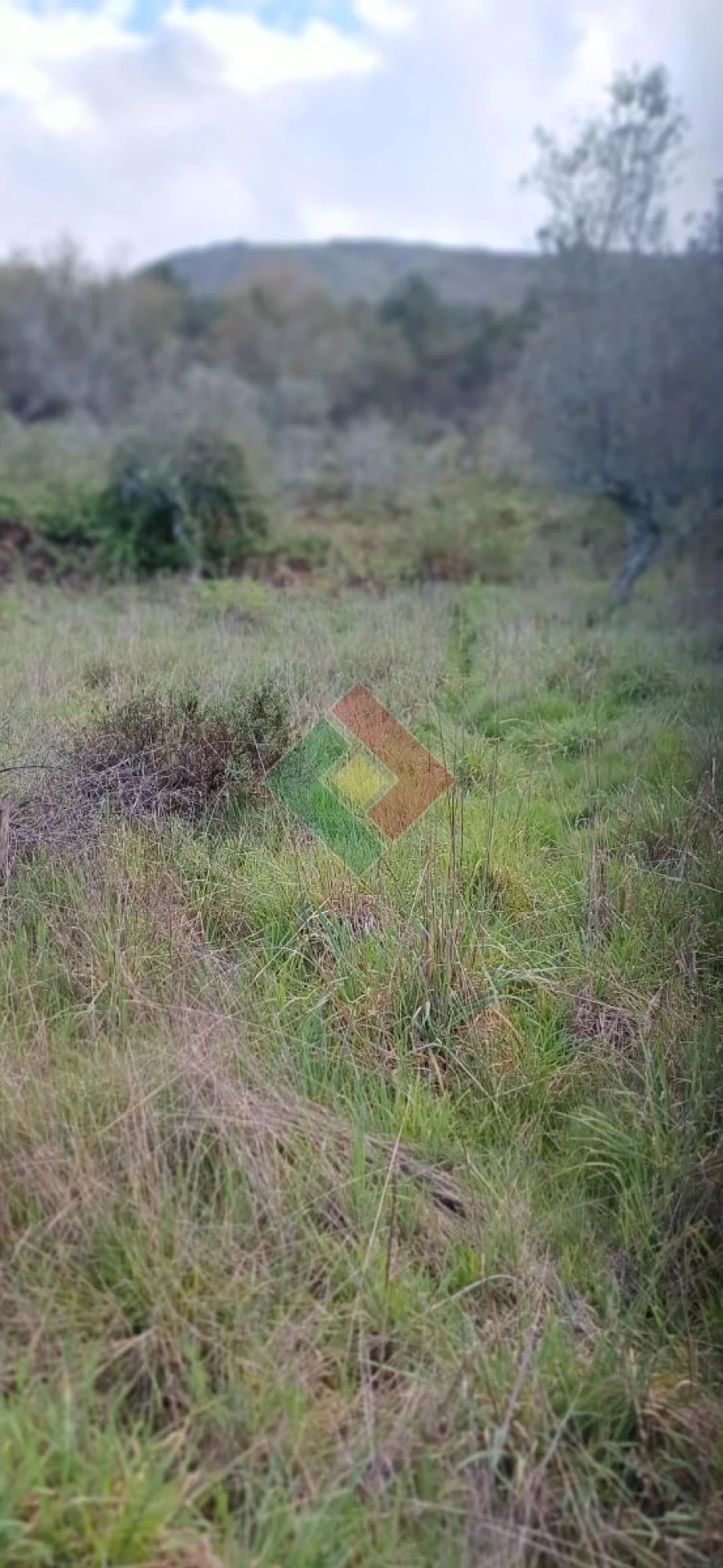 Quinta para Venda em São Salvador da Aramenha Foto 12