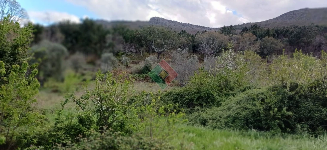 Quinta para Venda em São Salvador da Aramenha Foto 15