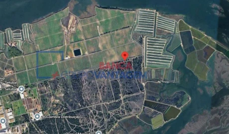 Terreno Agricola ou Rústico para Venda em Sado