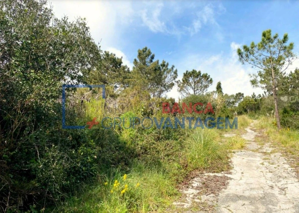 Terreno Misto para Venda em Queluz e Belas Foto 13