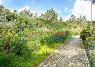 Terreno Misto para Venda em Queluz e Belas