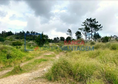 Terreno Misto para Venda em Queluz e Belas