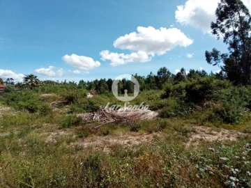Terreno Agricola ou Rústico para Venda em Ucha
