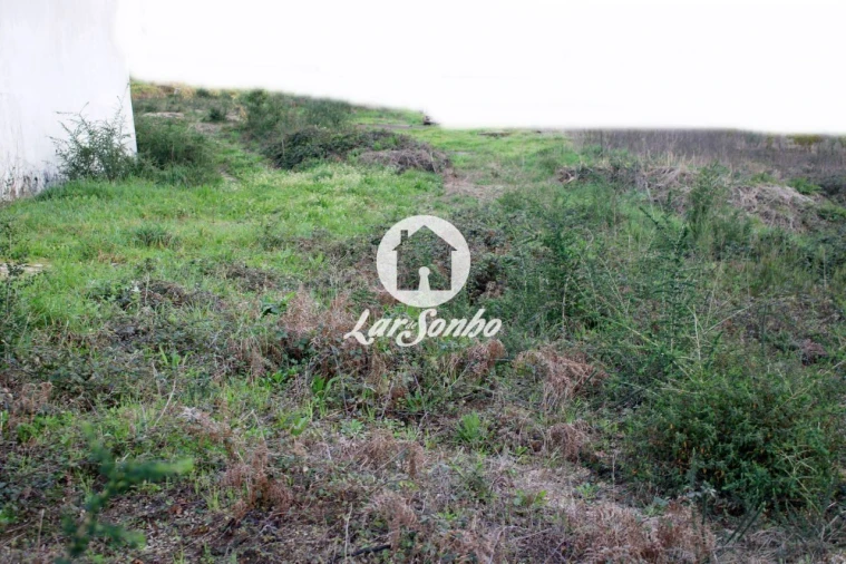 Terreno Agricola ou Rústico para Venda em Ucha Foto 7