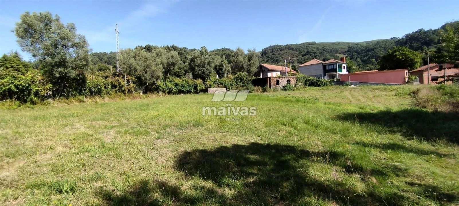 Terreno P/ Prédio para Venda em Ribeira do Neiva Foto 2