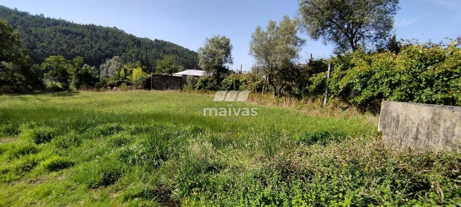Terreno P/ Prédio para Venda em Ribeira do Neiva Foto 11