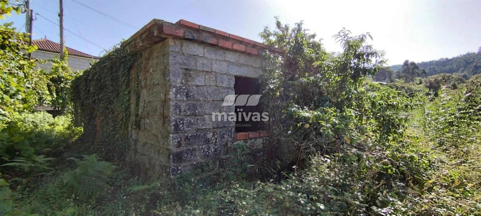 Terreno P/ Prédio para Venda em Ribeira do Neiva Foto 13