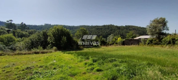 Terreno P/ Prédio para Venda em Ribeira do Neiva