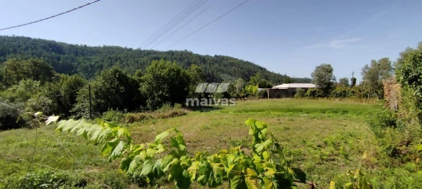Terreno P/ Prédio para Venda em Ribeira do Neiva