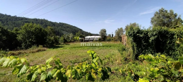 Terreno P/ Prédio para Venda em Ribeira do Neiva