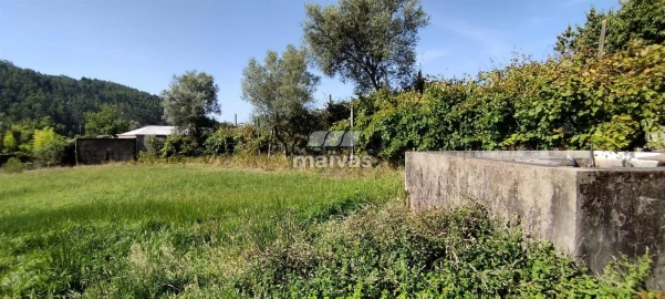 Terreno P/ Prédio para Venda em Ribeira do Neiva