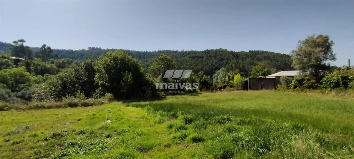 Terreno P/ Prédio para Venda em Ribeira do Neiva Foto 3