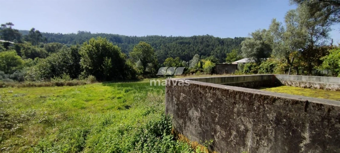 Terreno P/ Prédio para Venda em Ribeira do Neiva Foto 4