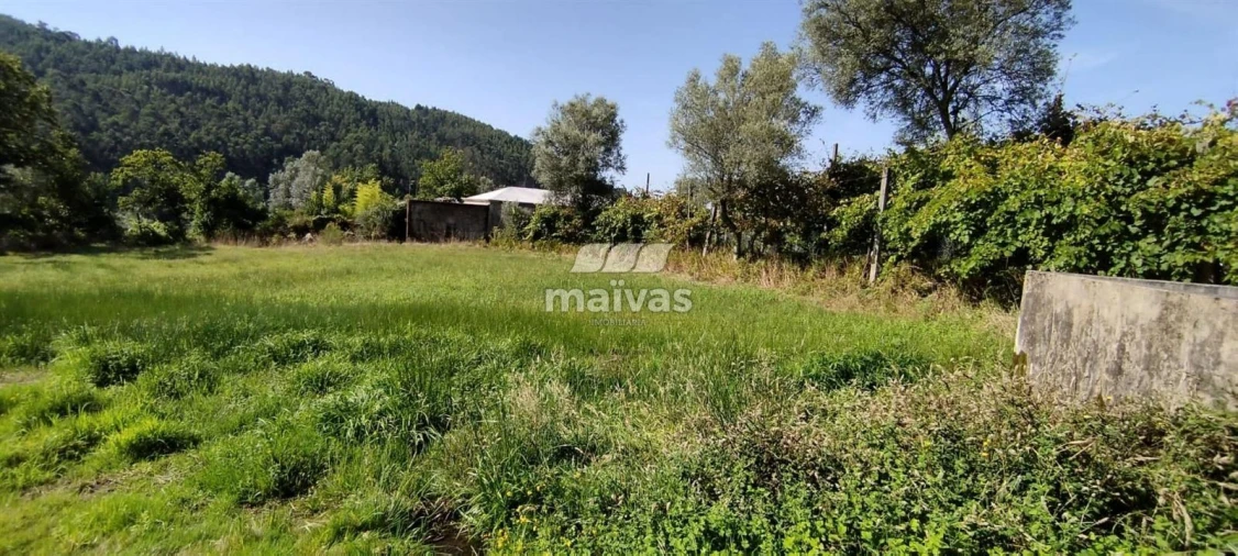 Terreno P/ Prédio para Venda em Ribeira do Neiva Foto 11