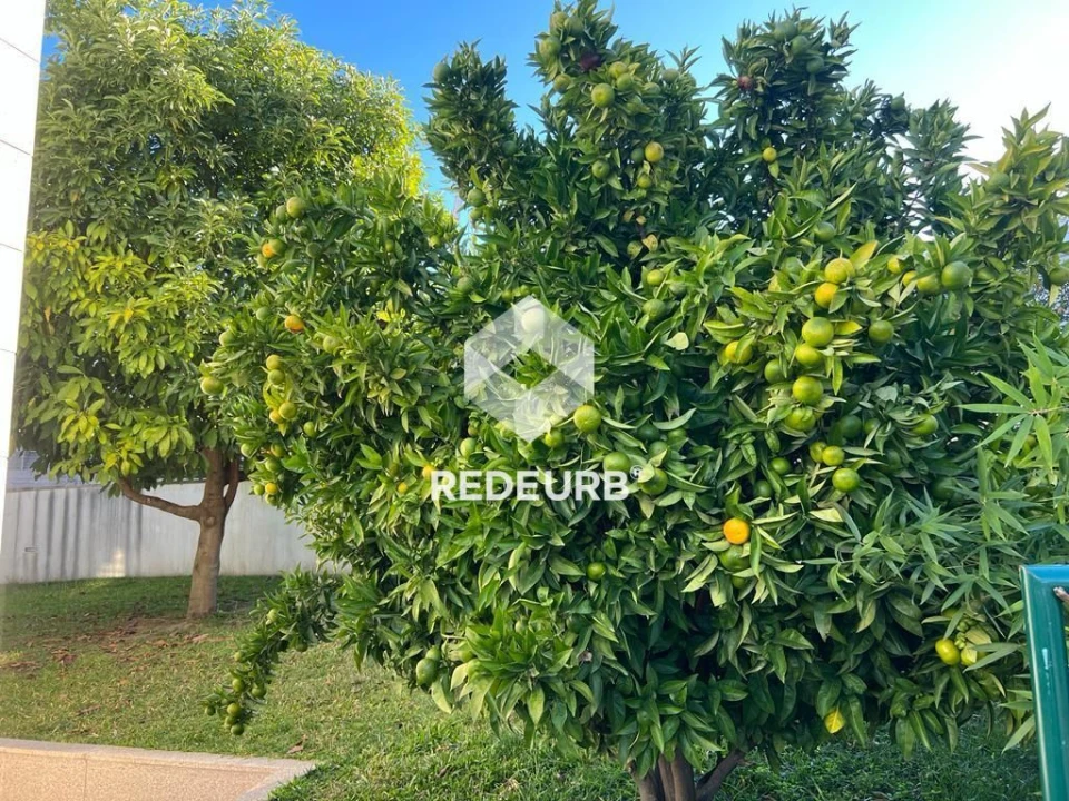 Moradia T4 para Venda em Nogueiró e Tenões Foto 23