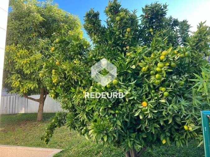 Moradia T4 para Venda em Nogueiró e Tenões Foto 23