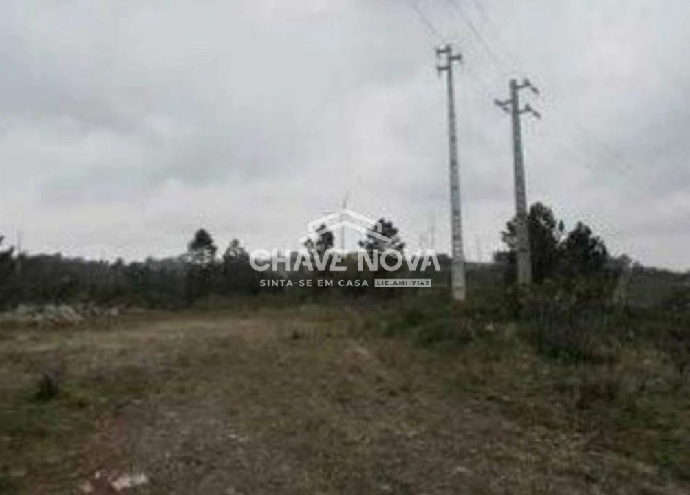 Terreno P/ Prédio para Venda em Cebolais de Cima e Retaxo Foto 5