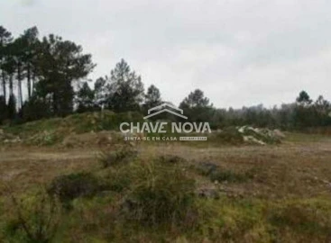 Terreno P/ Prédio para Venda em Cebolais de Cima e Retaxo