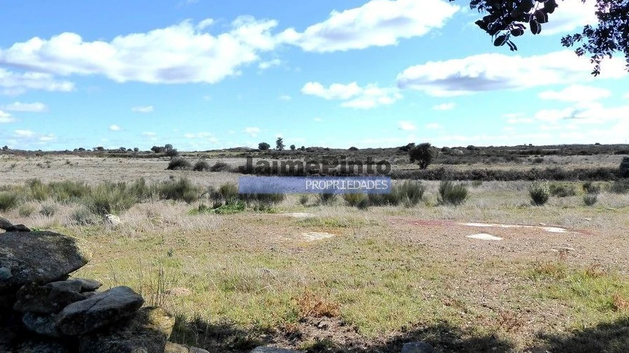 Terreno Agricola ou Rústico para Venda em Figueira de Castelo Rodrigo