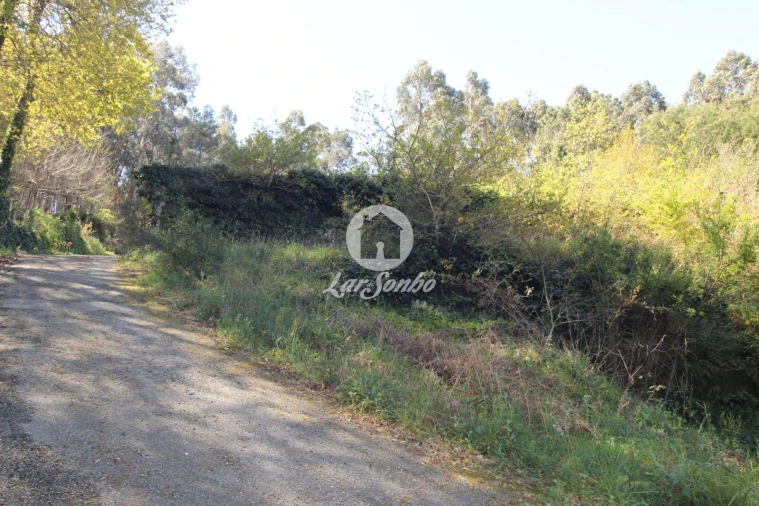 Terreno para Venda em Quinchães Foto 2
