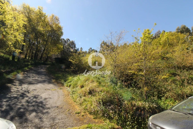 Terreno para Venda em Quinchães Foto 3