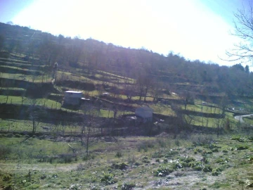 Quinta para Venda em Gove