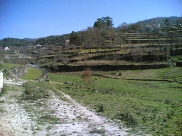 Quinta para Venda em Gove