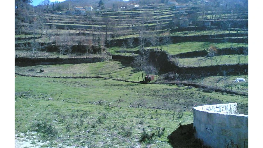 Quinta para Venda em Gove