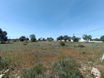 Terreno P/ Prédio para Venda em Lagoa e Carvoeiro