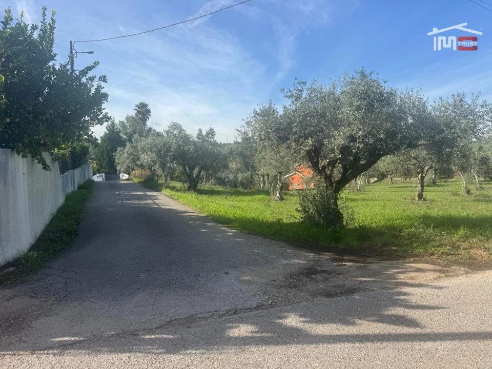 Terreno para Venda em Nossa Senhora da Piedade Foto 5