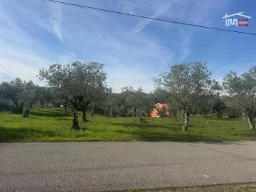 Terreno para Venda em Nossa Senhora da Piedade