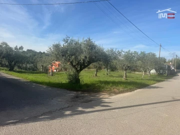 Terreno para Venda em Nossa Senhora da Piedade