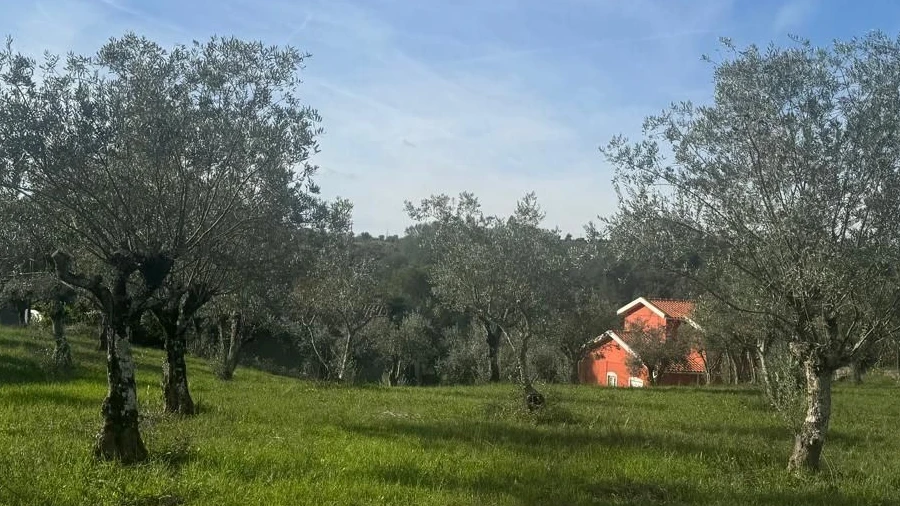 Terreno para Venda em Nossa Senhora da Piedade