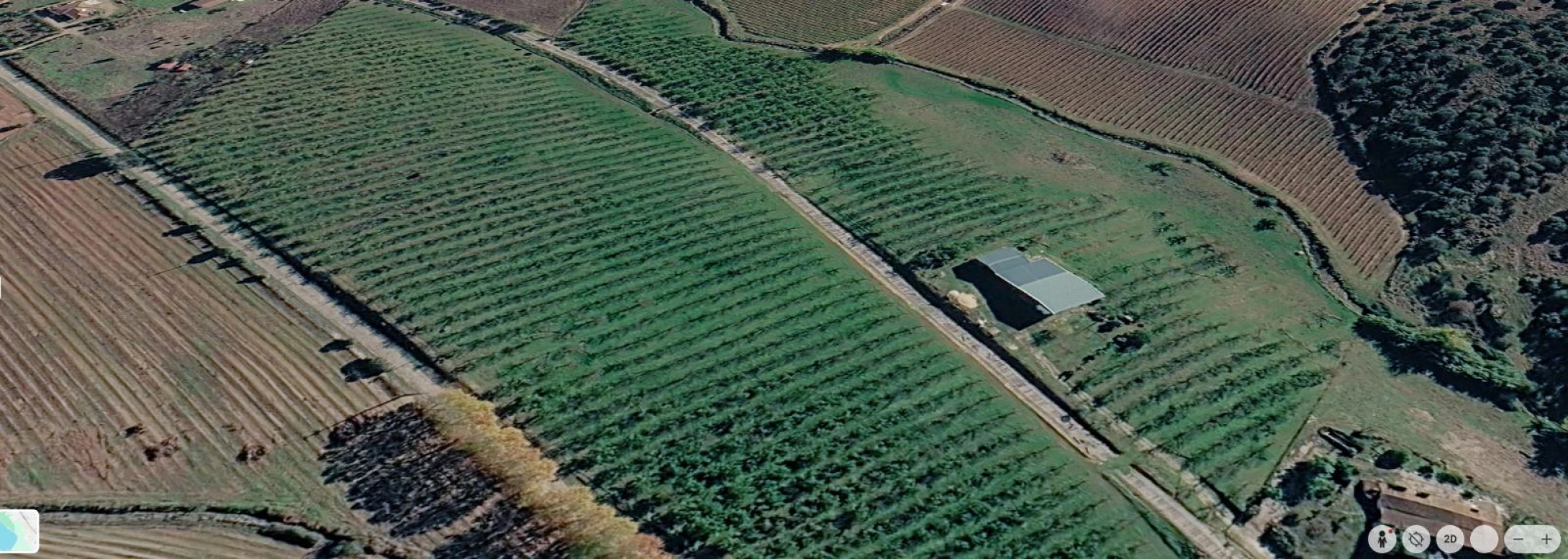Terreno P/ Prédio para Venda em Estremoz (Santa Maria e Santo André) Foto 25