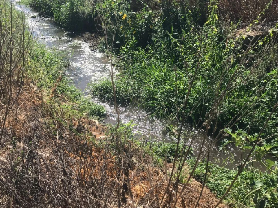 Terreno P/ Prédio para Venda em Estremoz (Santa Maria e Santo André) Foto 23