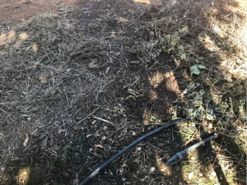 Terreno P/ Prédio para Venda em Estremoz (Santa Maria e Santo André)