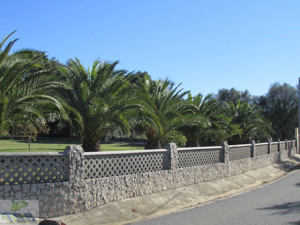 Quinta T3 para Venda em Cabeço de Vide Foto 22