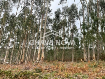 Terreno Agricola ou Rústico para Venda em São Roque