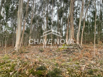 Terreno Agricola ou Rústico para Venda em São Roque