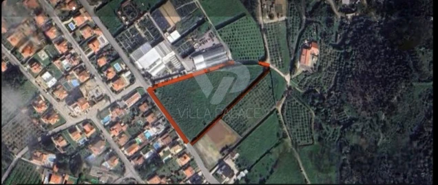 Terreno para Venda em Santo Isidoro