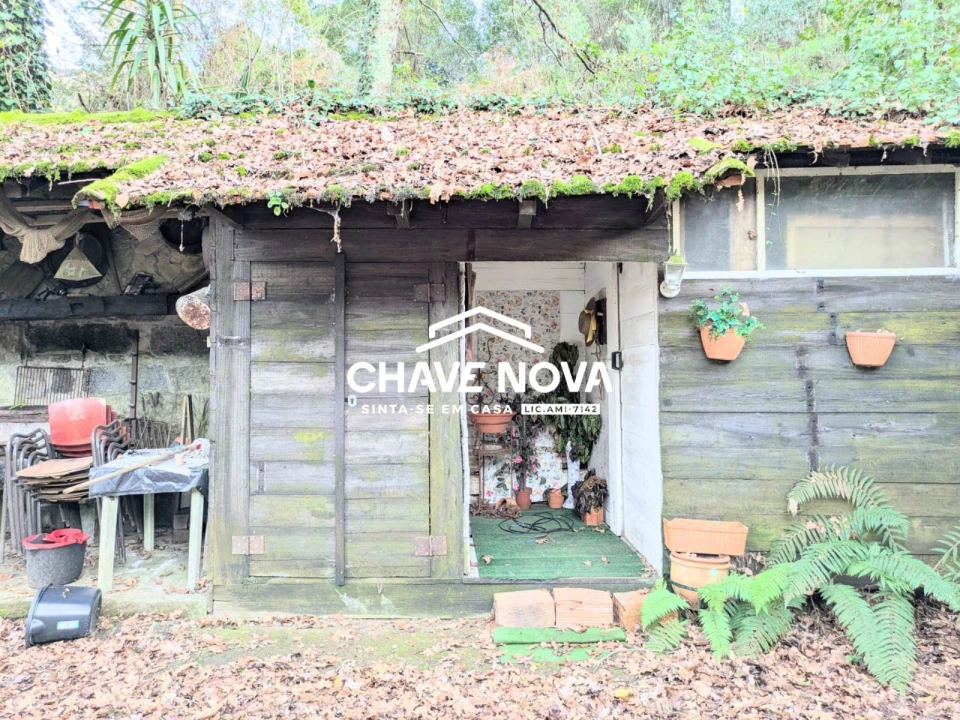 Quinta T0 para Venda em Pinheiro da Bemposta, Travanca e Palmaz Foto 11