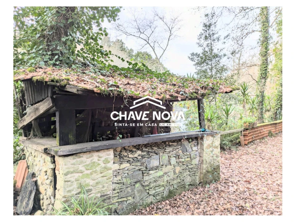 Quinta T0 para Venda em Pinheiro da Bemposta, Travanca e Palmaz Foto 22