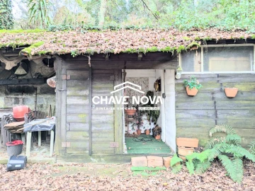 Quinta T0 para Venda em Pinheiro da Bemposta, Travanca e Palmaz