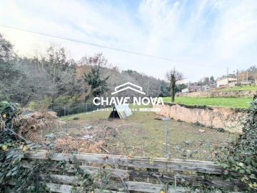 Quinta T0 para Venda em Pinheiro da Bemposta, Travanca e Palmaz