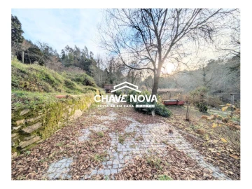 Quinta T0 para Venda em Pinheiro da Bemposta, Travanca e Palmaz