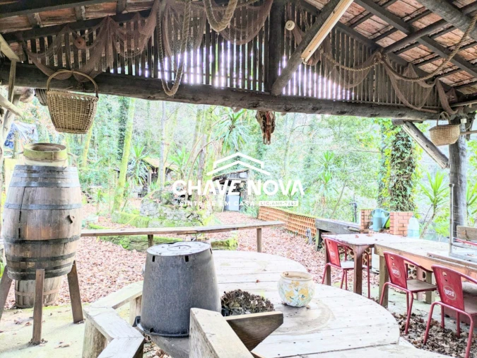 Quinta T0 para Venda em Pinheiro da Bemposta, Travanca e Palmaz Foto 9