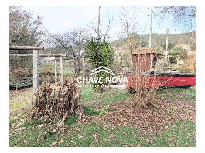 Quinta T0 para Venda em Pinheiro da Bemposta, Travanca e Palmaz Foto 16