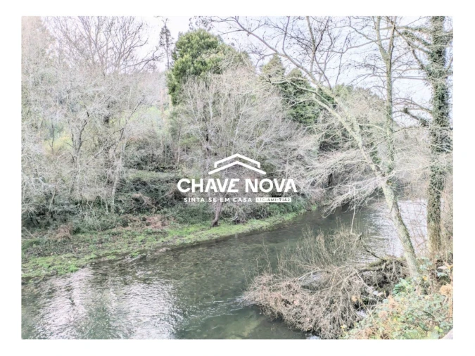 Quinta T0 para Venda em Pinheiro da Bemposta, Travanca e Palmaz Foto 19