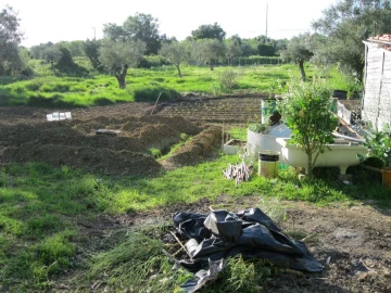 Terreno Agricola ou Rústico para Venda em Paialvo